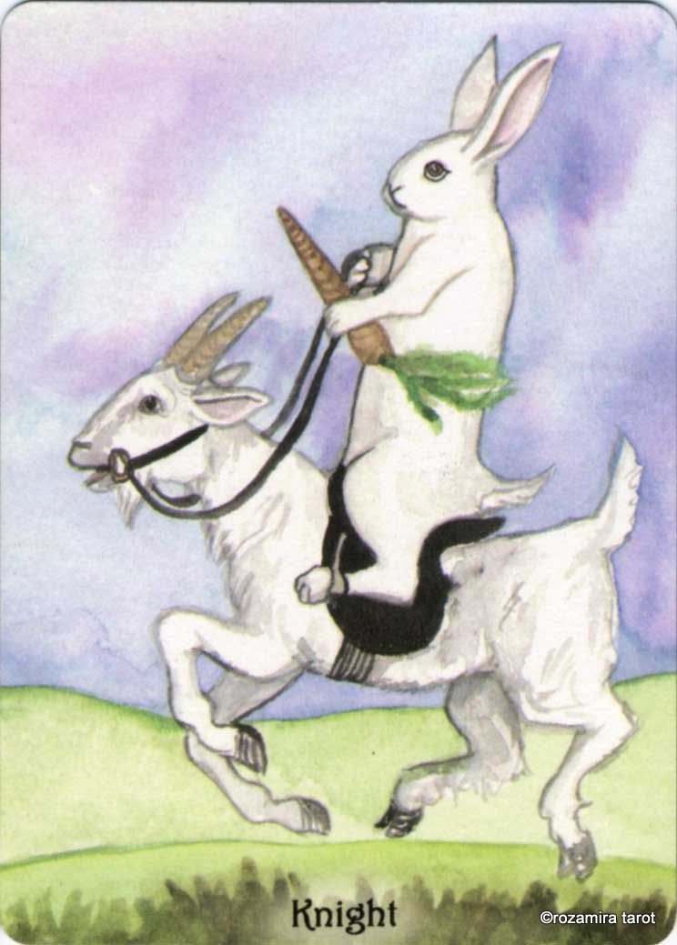 Rabbit Tarot